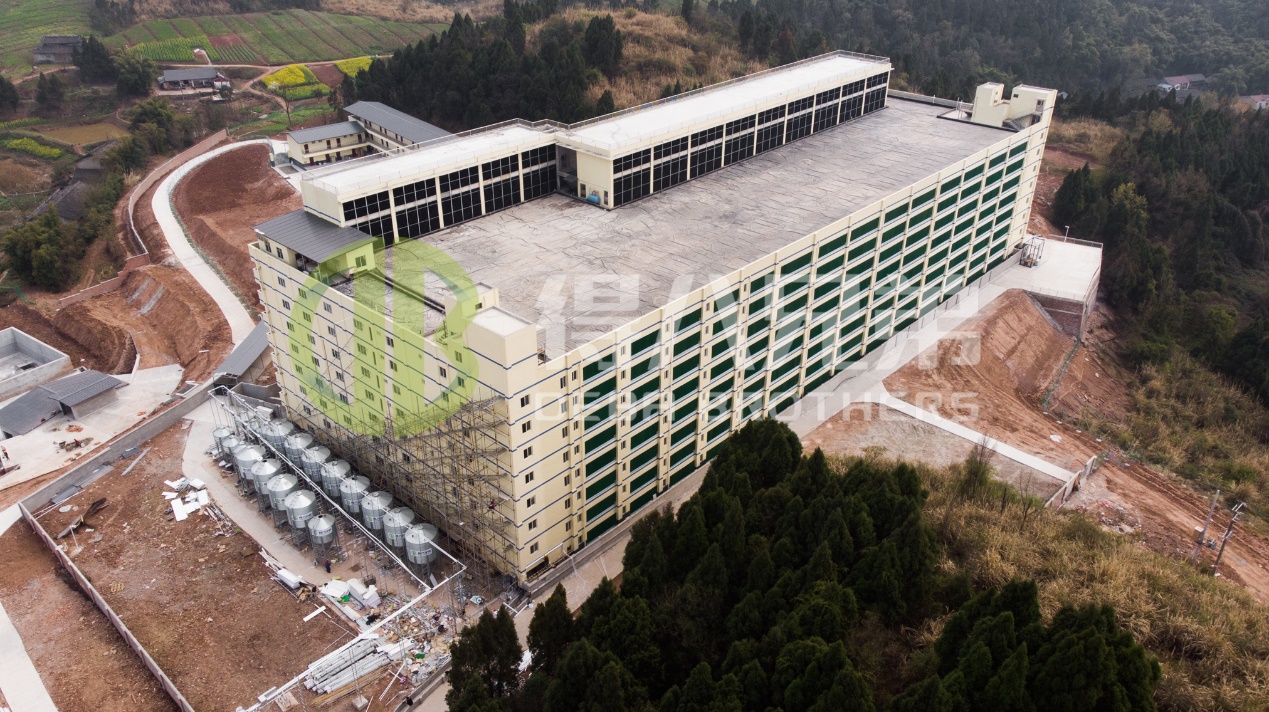 Kaip pagerinti aplinkos kokybę šiuolaikiniame kiaulių ūkyje