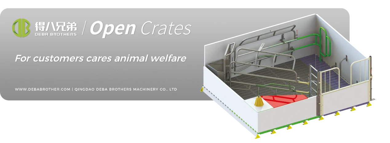 DEBA Brothers atvira paršavedžių lysvė pripažinta visame pasaulyje dėl patogaus dizaino