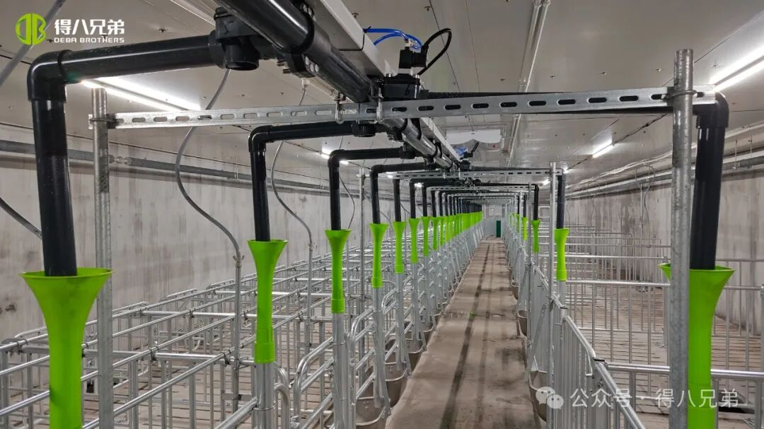 Deba Brother Licha juodųjų kiaulių veisimo ir auginimo demonstravimo bazė – integruotos 2 000 paršavedžių operacijos, 50 000 metinių skerdimų, 67 000 kvadratinių metrų