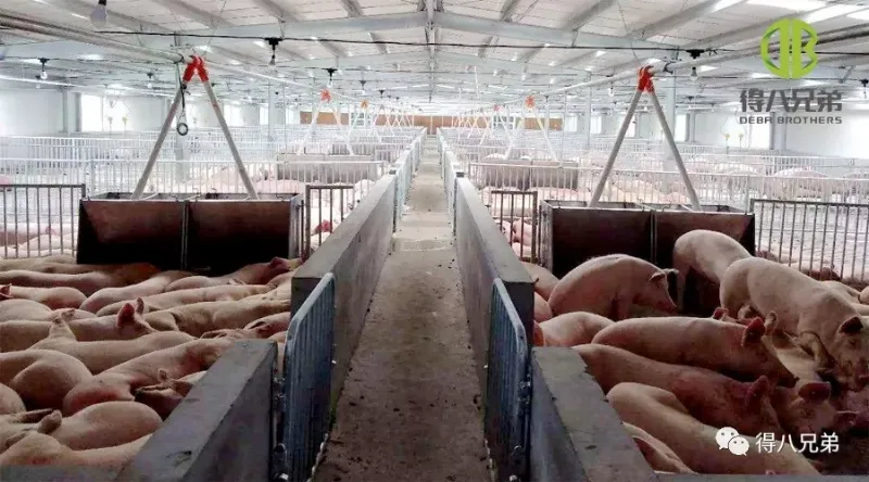 Veiksmingos kovos su karščio stresu priemonės vasarą